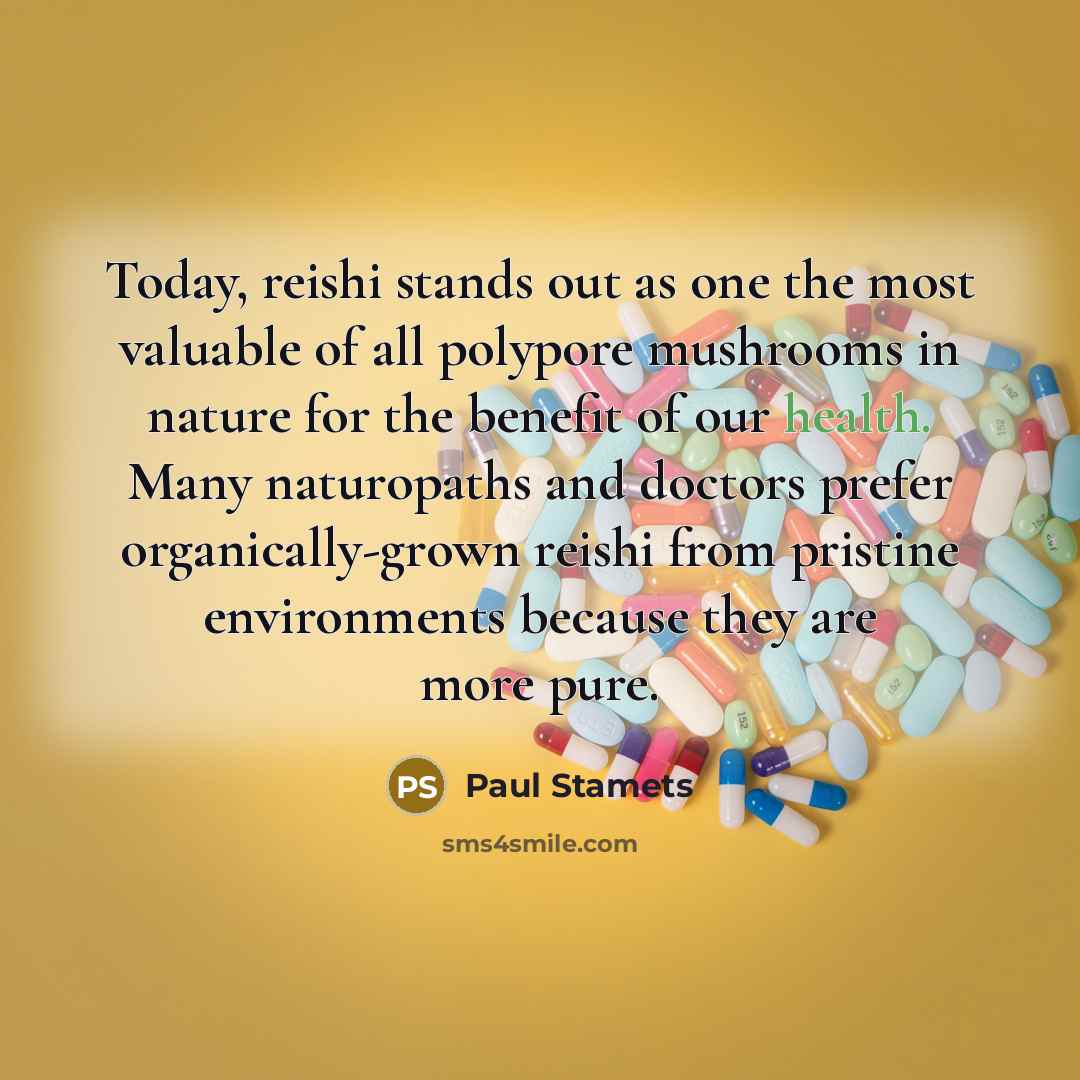 “Today, reishi stands out as one the most valuable of…” quote by Paul Stamets