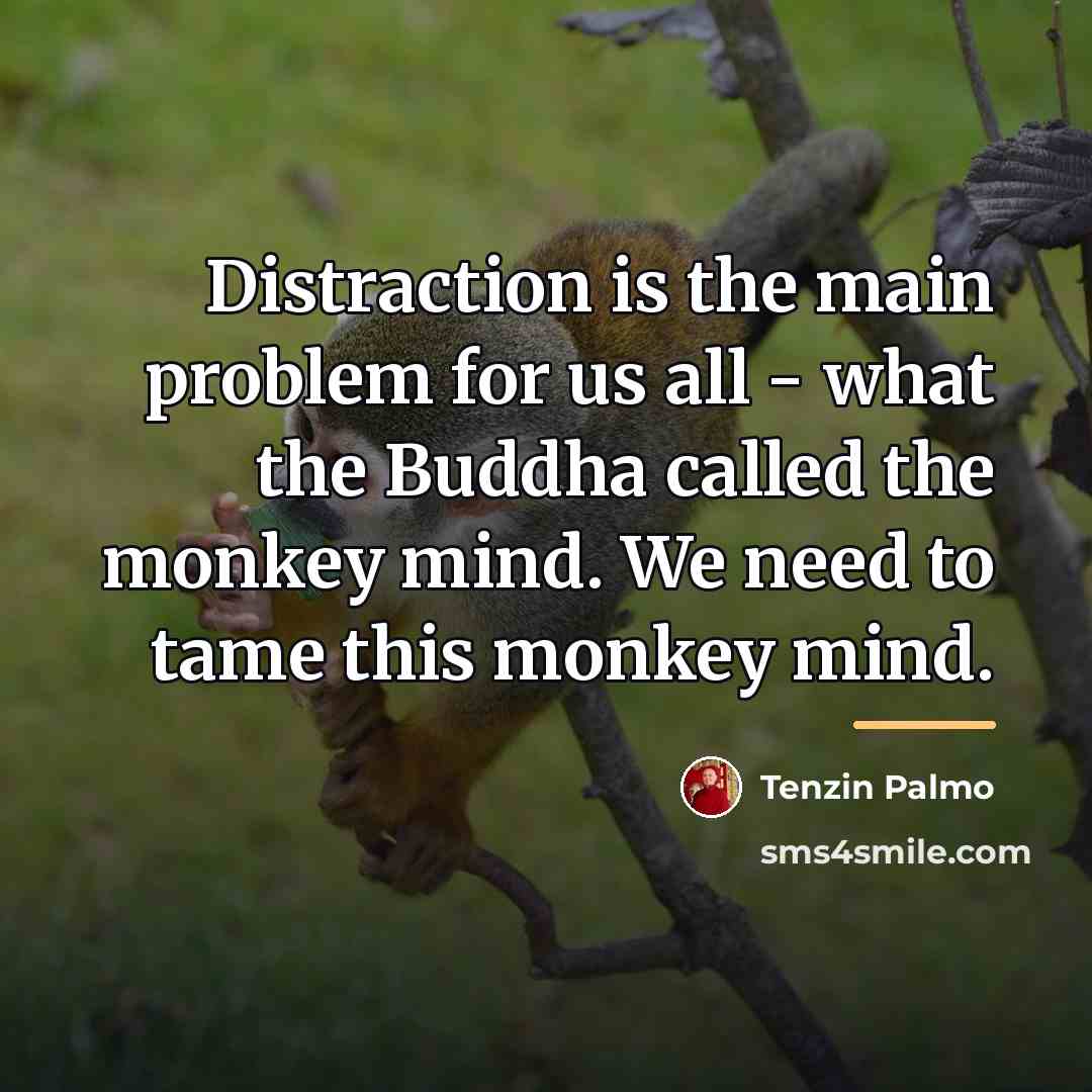 “Distraction is the main problem for us all - what…” quote by Tenzin Palmo
