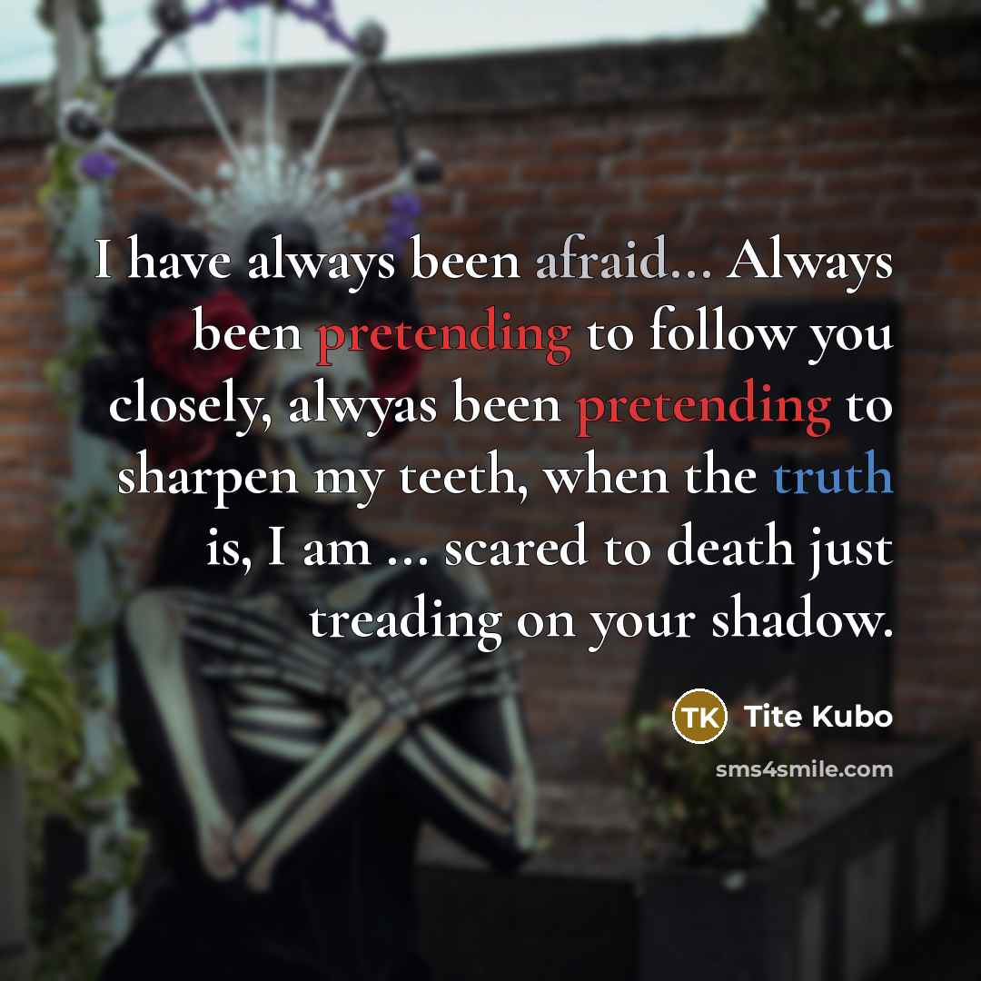 “I have always been afraid... Always been pretending to follow you closely, alwyas been pretending to sharpen my teeth, when the truth is, I am ... scared to death just treading on your shadow.” quote by Tite Kubo