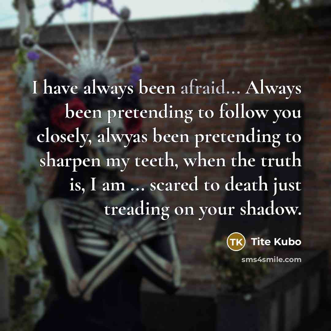 “I have always been afraid... Always been pretending to follow…” quote by Tite Kubo