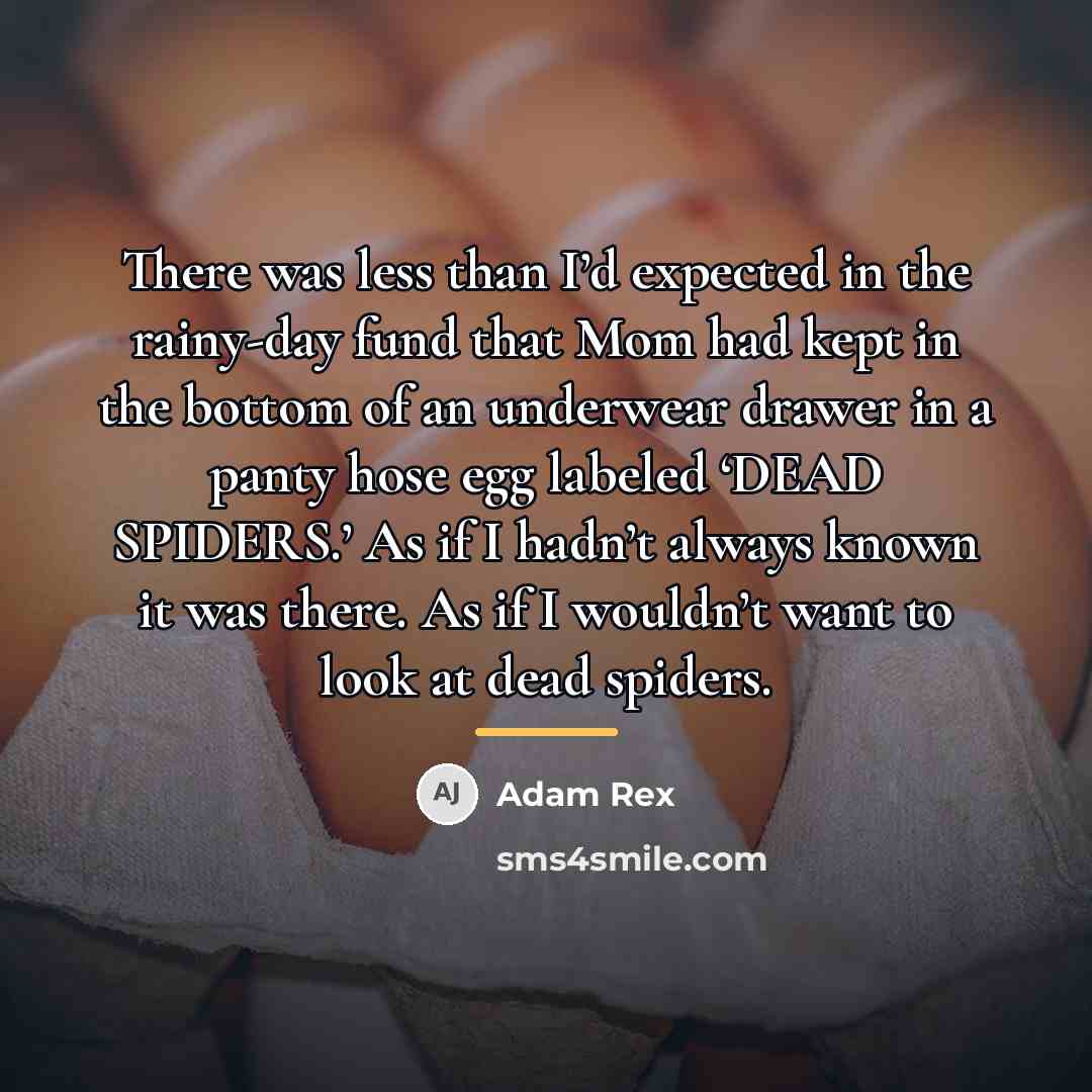 “There was less than I’d expected in the rainy-day fund…” quote by Adam Rex