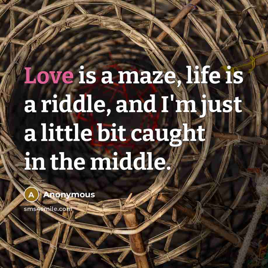 “Love is a maze, life is a riddle, and I'm…” quote by Anonymous