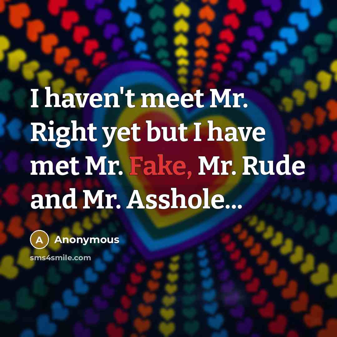 “I haven't meet Mr. Right yet but I have met…” quote by Anonymous