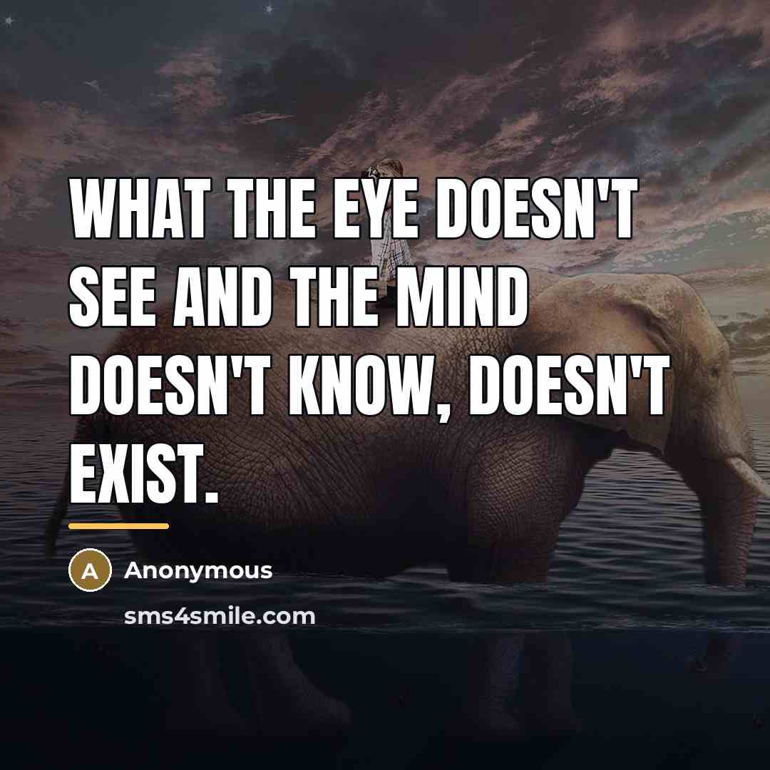 “What the eye doesn't see and the mind doesn't know,…” quote by Anonymous
