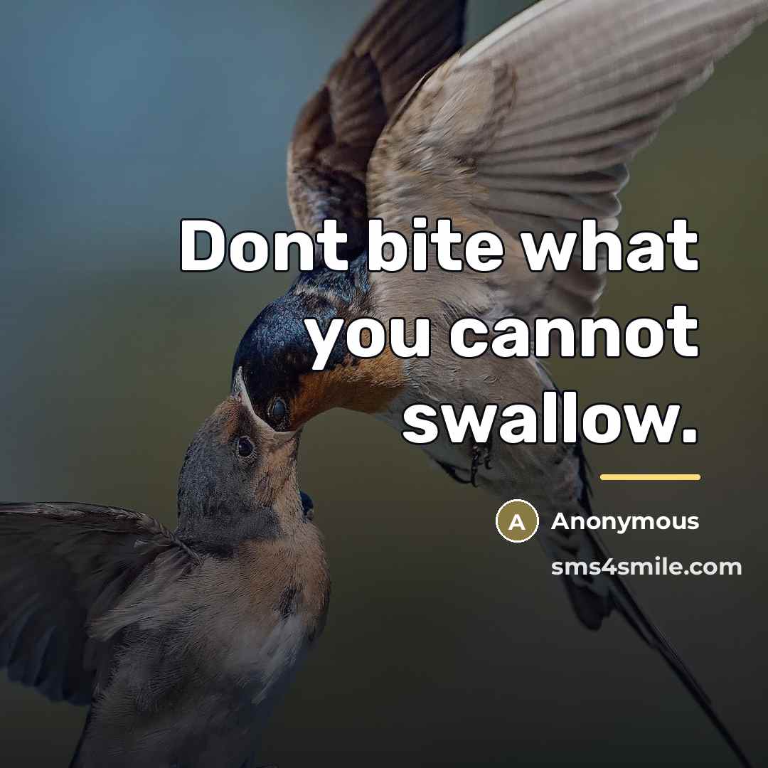 “Dont bite what you cannot swallow.…” quote by Anonymous
