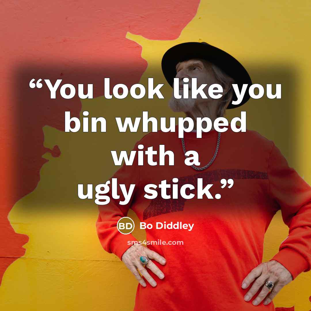 “You look like you bin whupped with a ugly stick.” quote by Bo Diddley