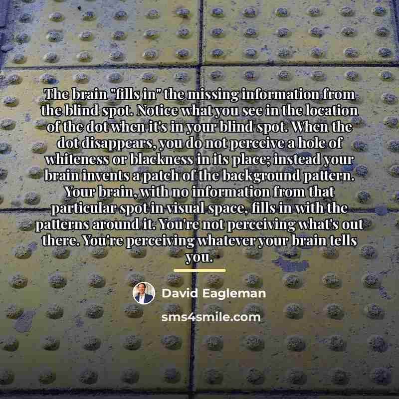 “The brain "fills in" the missing information from the blind…” quote by David Eagleman