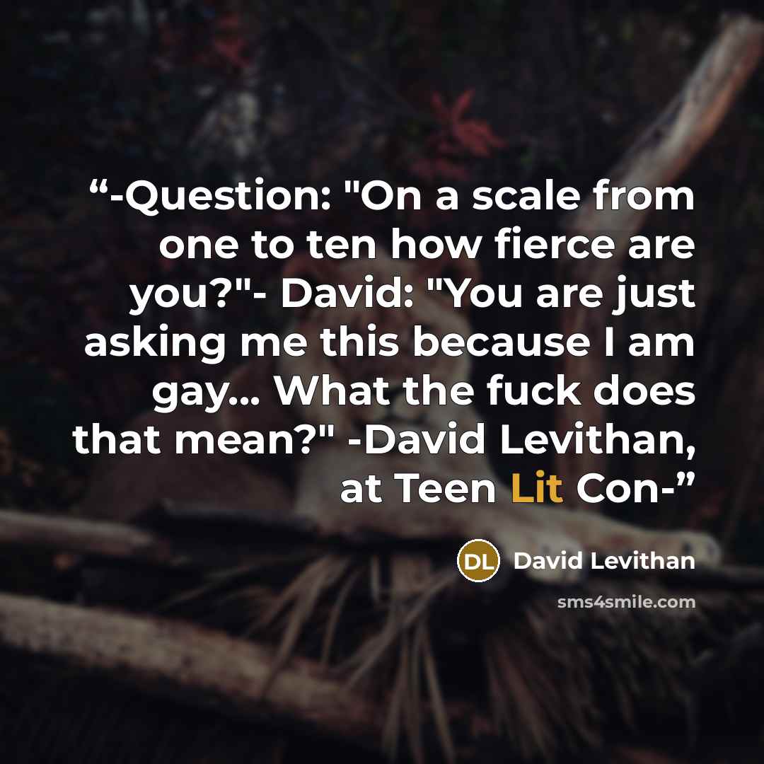 “-Question: "On a scale from one to ten how fierce are you?"- David: "You are just asking me this because I am gay... What the fuck does that mean?" -David Levithan, at Teen Lit Con-” quote by David Levithan