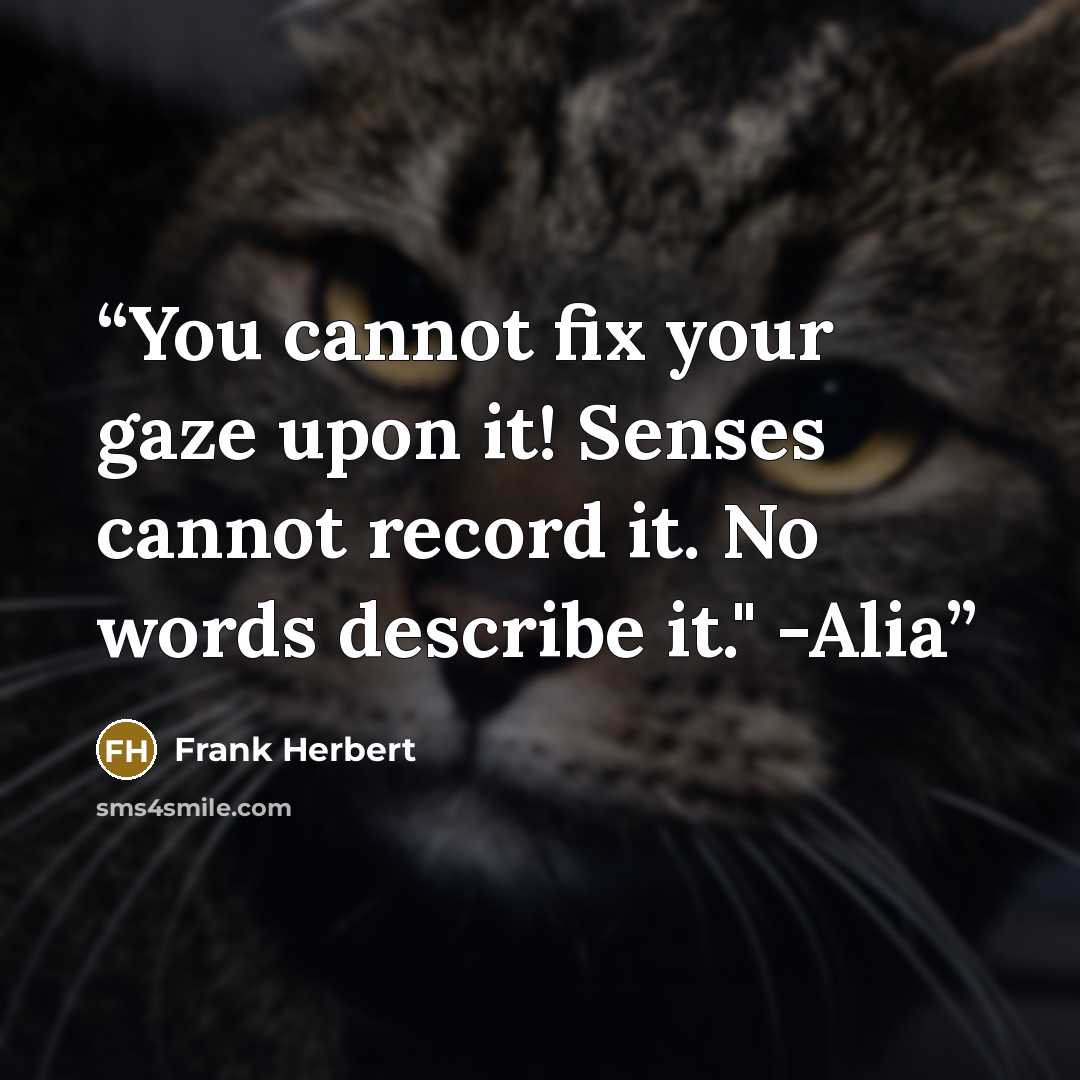 “You cannot fix your gaze upon it! Senses cannot record it. No words describe it." -Alia” quote by Frank Herbert
