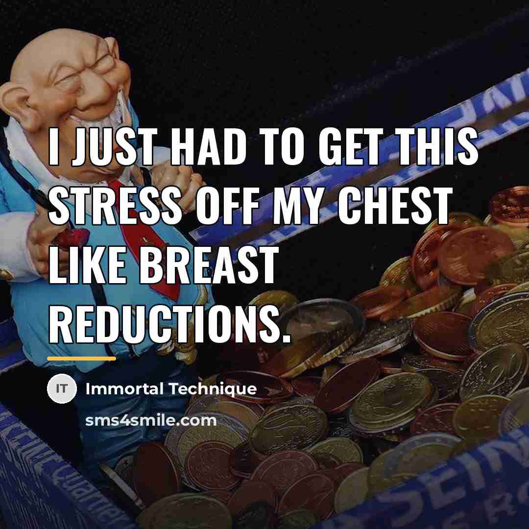 “I just had to get this stress off my chest…” quote by Immortal Technique