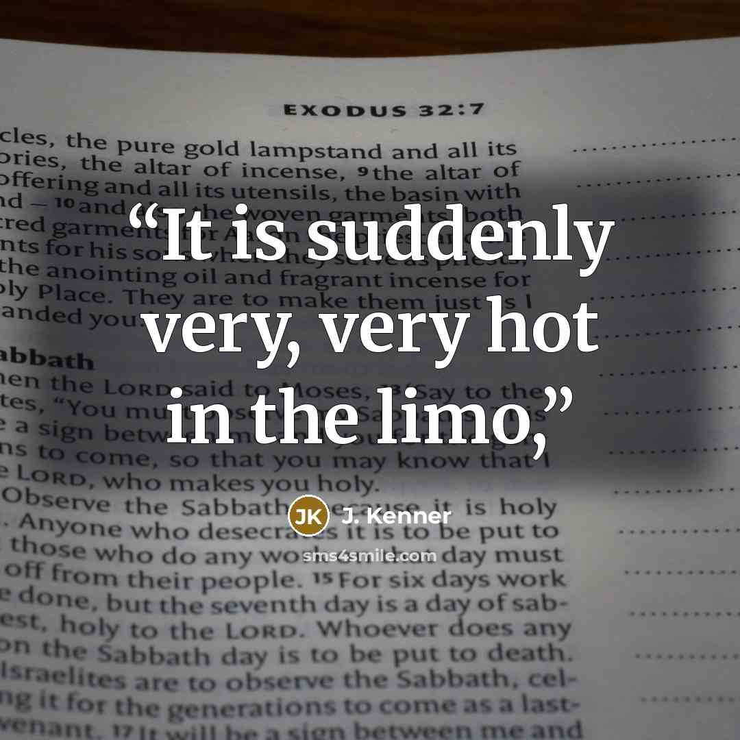 “It is suddenly very, very hot in the limo,” quote by J. Kenner