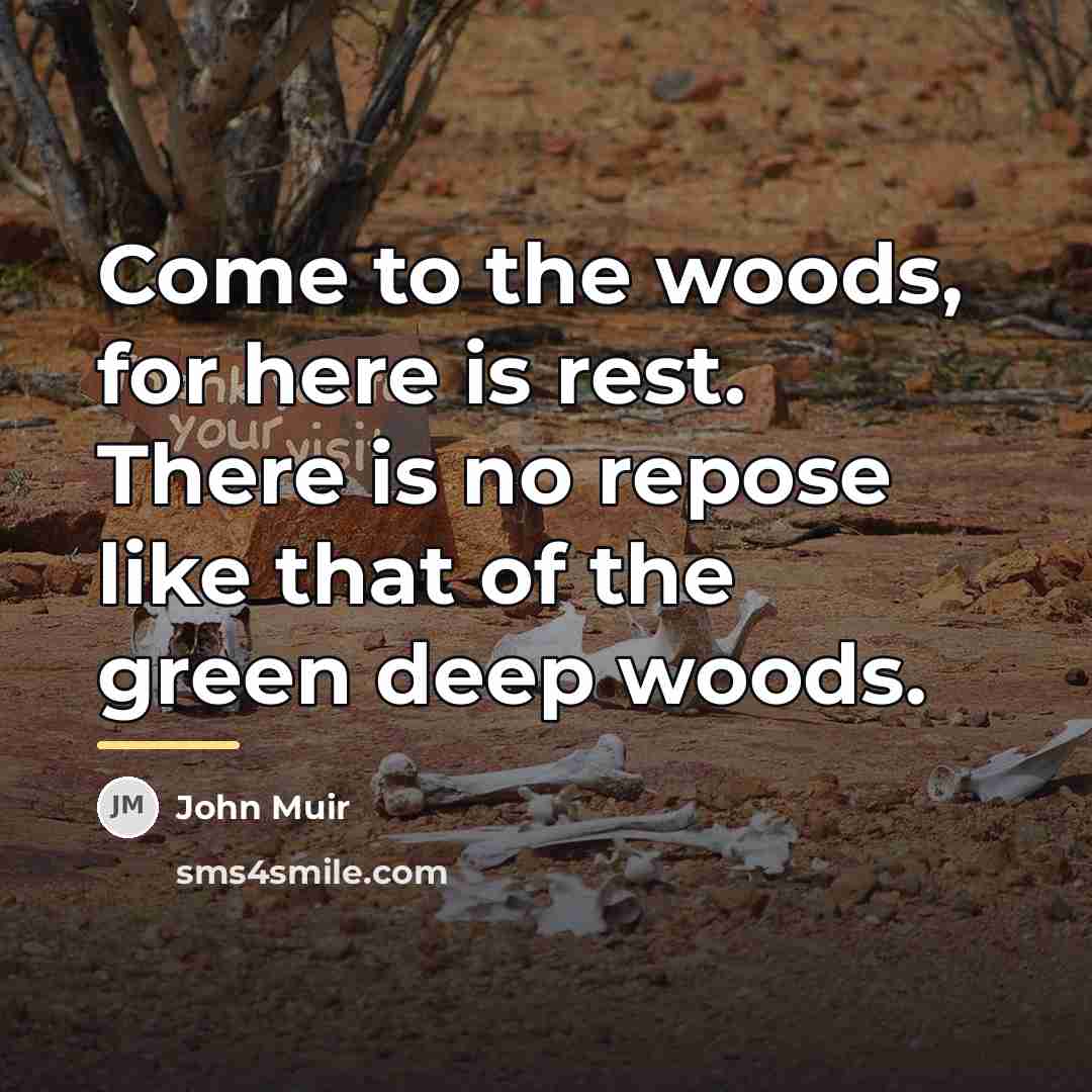 “Come to the woods, for here is rest. There is…” quote by John Muir