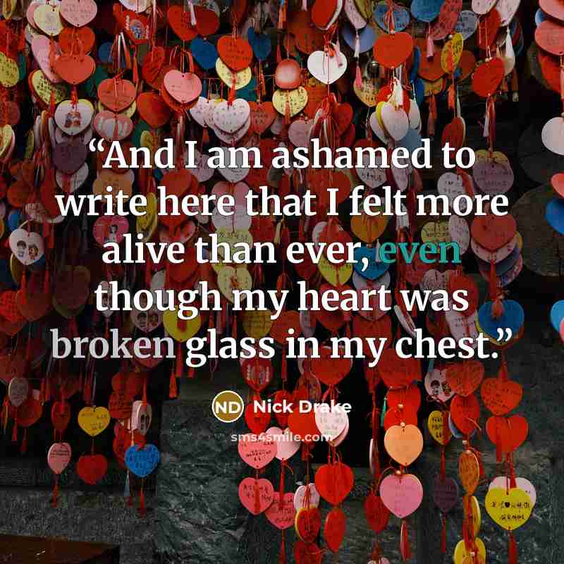 “And I am ashamed to write here that I felt more alive than ever, even though my heart was broken glass in my chest.” quote by Nick Drake