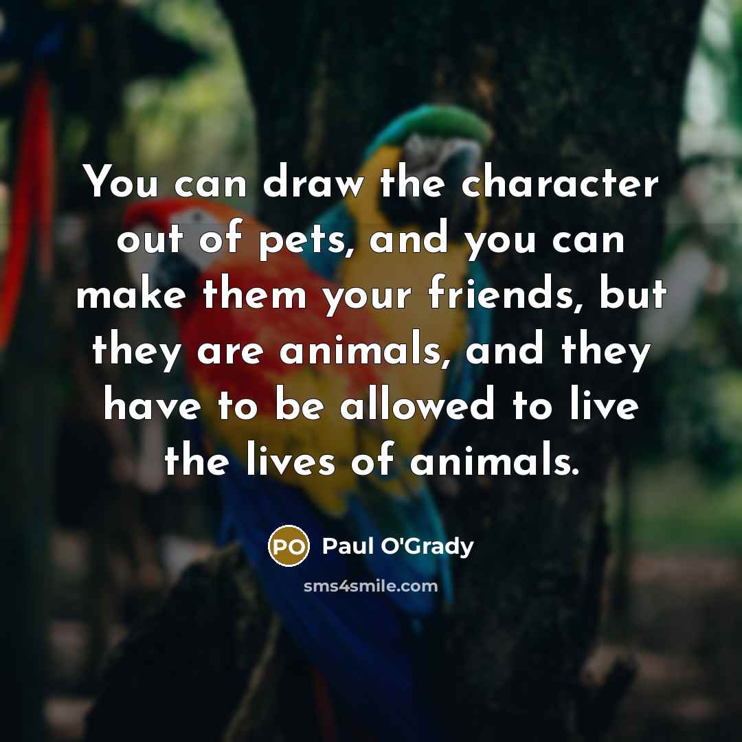 “You can draw the character out of pets, and you…” quote by Paul O'Grady