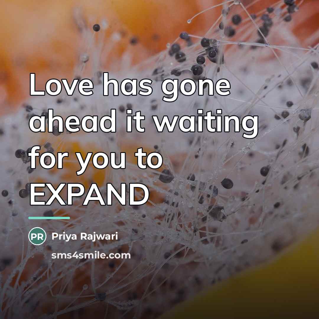 “Love has gone ahead it waiting for you to EXPAND…” quote by Priya Rajwari