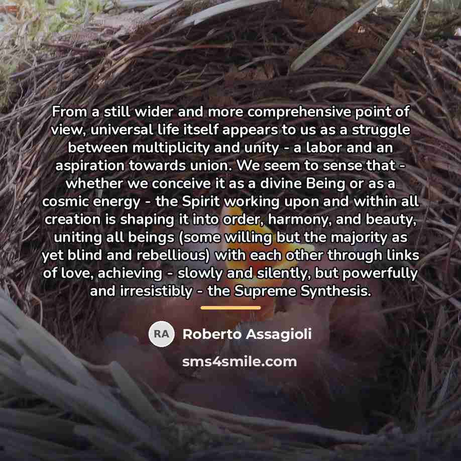 “From a still wider and more comprehensive point of view,…” quote by Roberto Assagioli