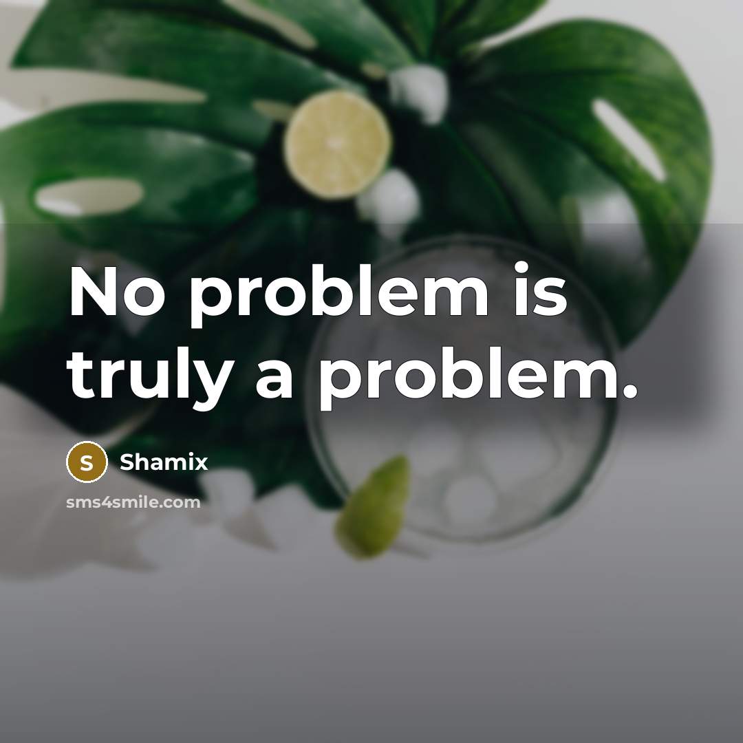 “No problem is truly a problem.” quote by Shamix