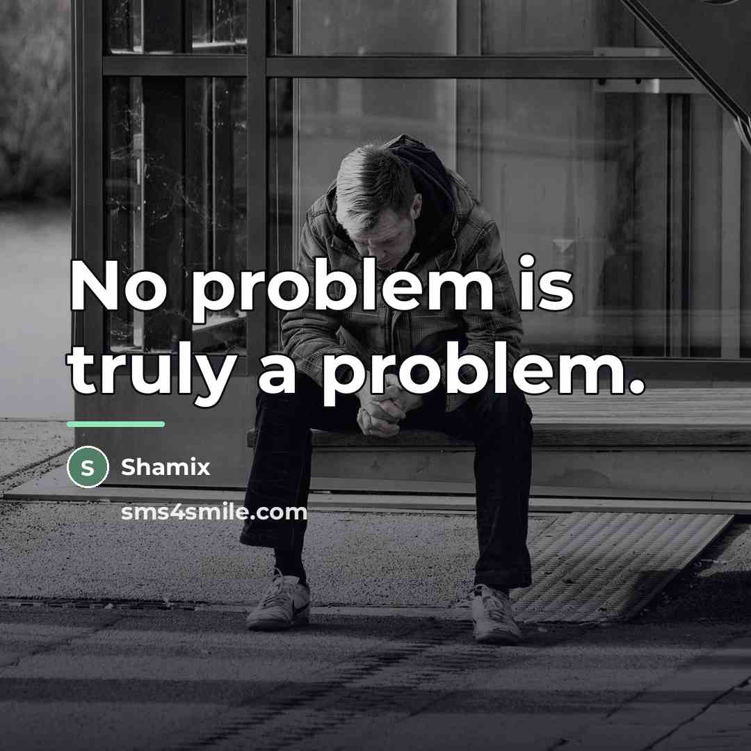 “No problem is truly a problem.…” quote by Shamix