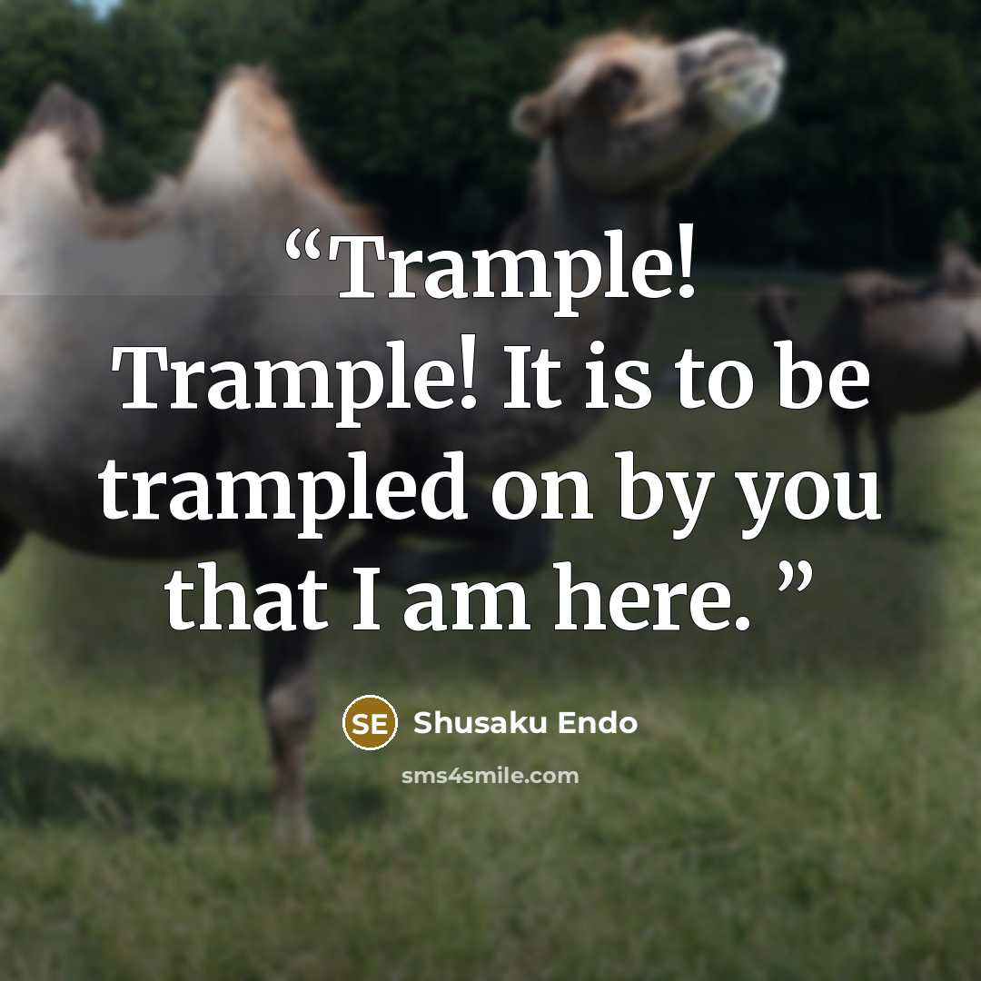 “Trample! Trample! It is to be trampled on by you that I am here.” quote by Shusaku Endo