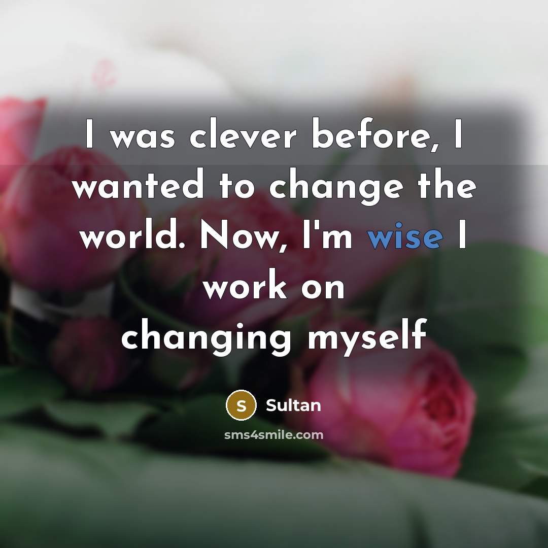 “I was clever before, I wanted to change the world.…” quote by Sultan