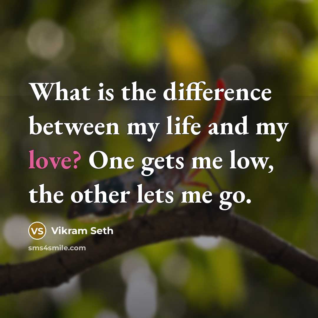 “What is the difference between my life and my love? One gets me low, the other lets me go.” quote by Vikram Seth