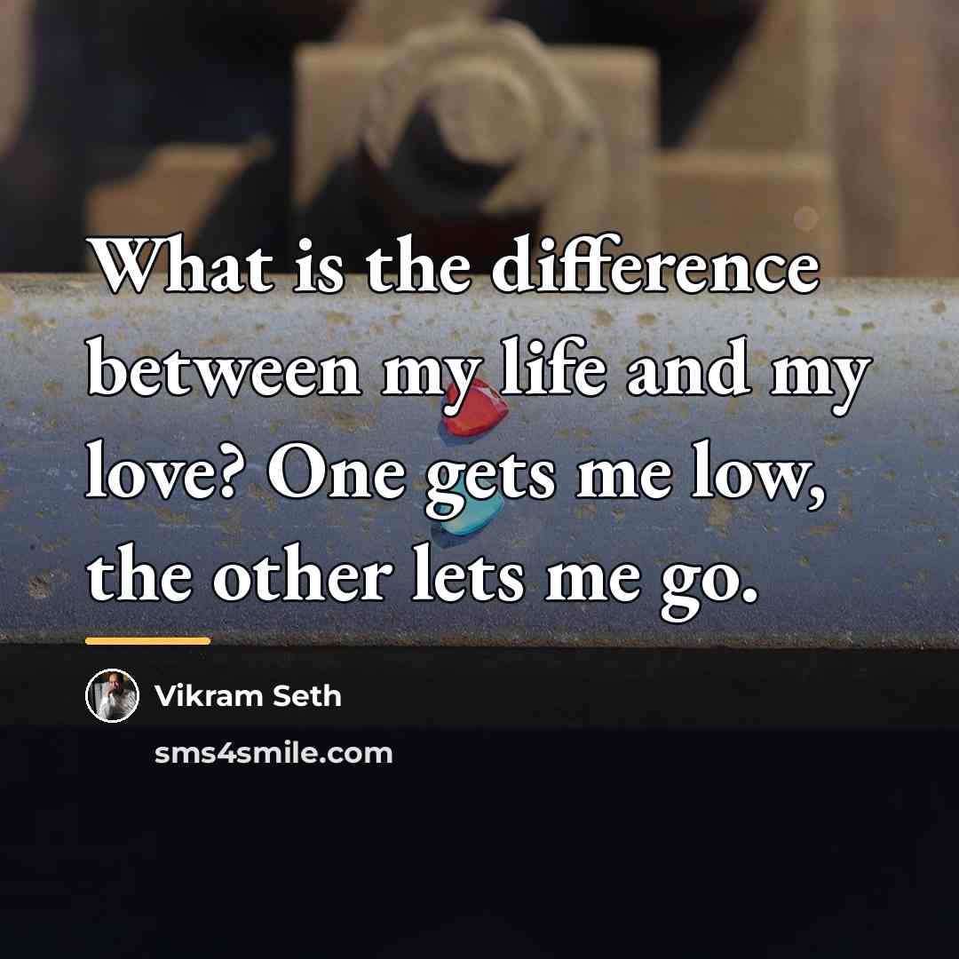“What is the difference between my life and my love?…” quote by Vikram Seth