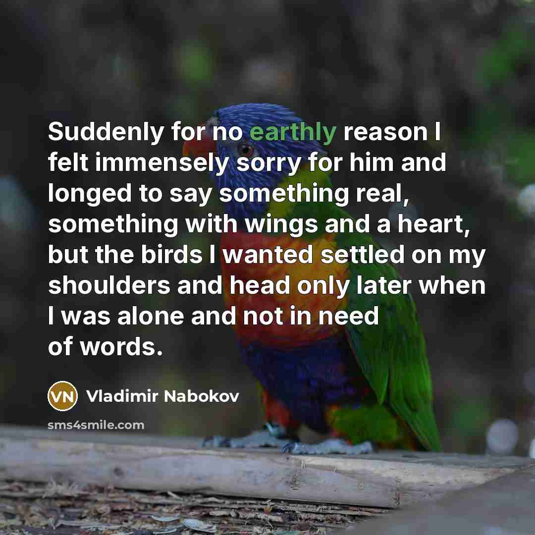 “Suddenly for no earthly reason I felt immensely sorry for…” quote by Vladimir Nabokov