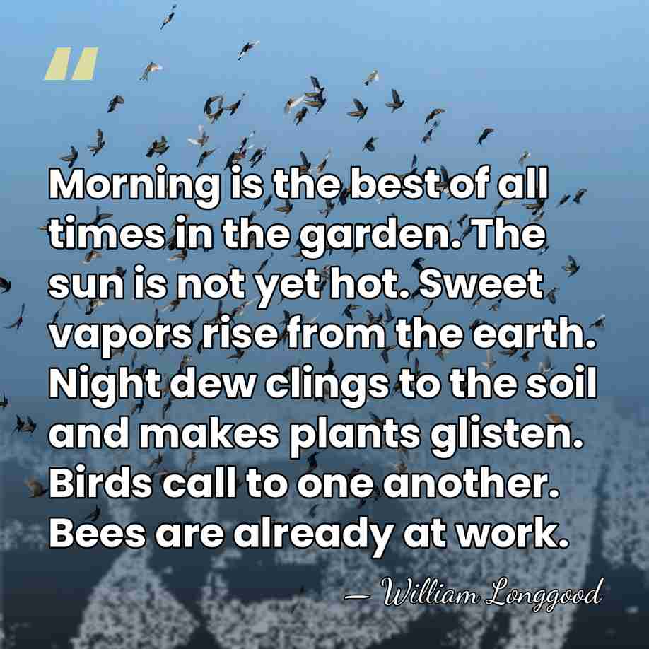 Morning is the best of all times in the garden. The sun&hellip; - William Longgood