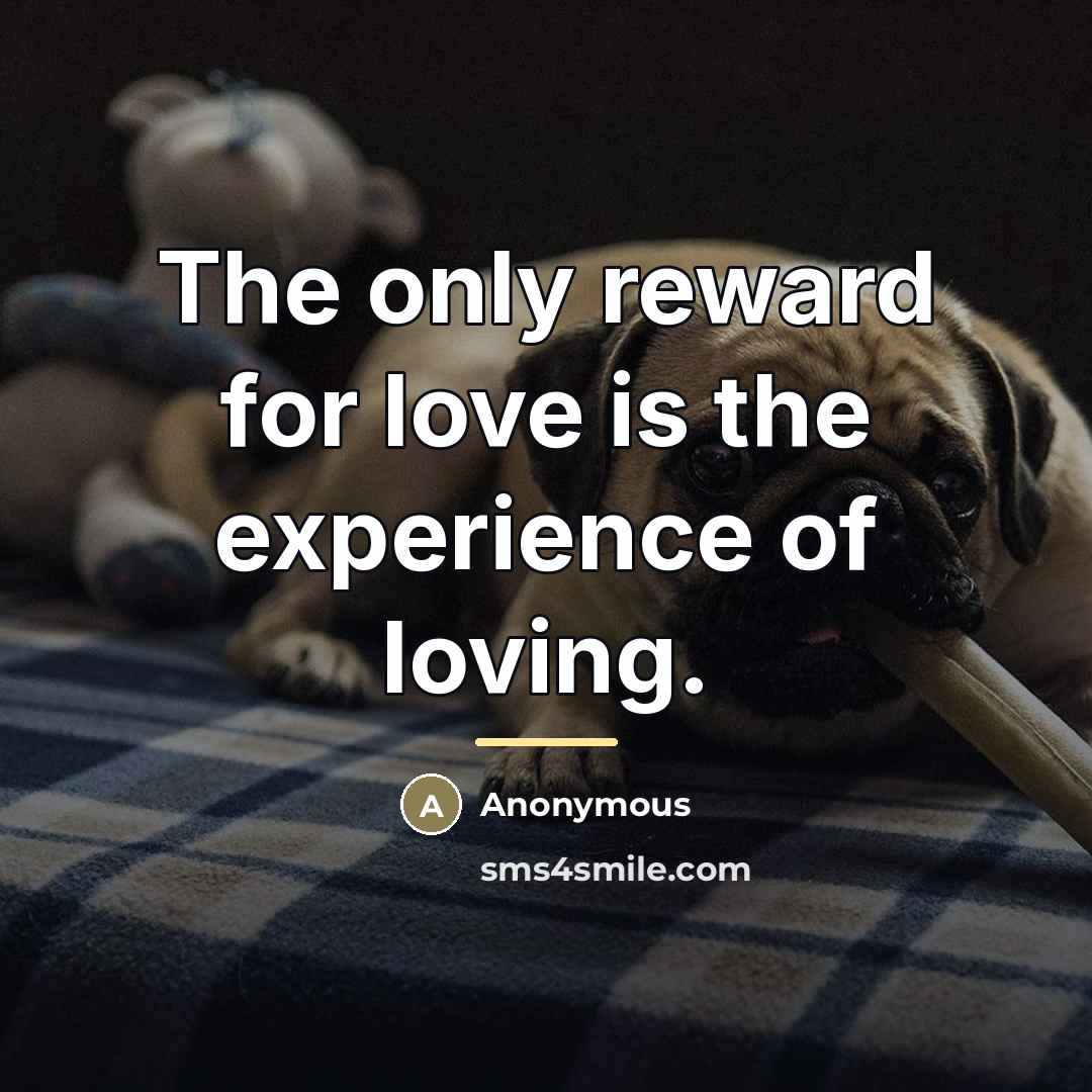 “The only reward for love is the experience of loving.…” quote by Anonymous