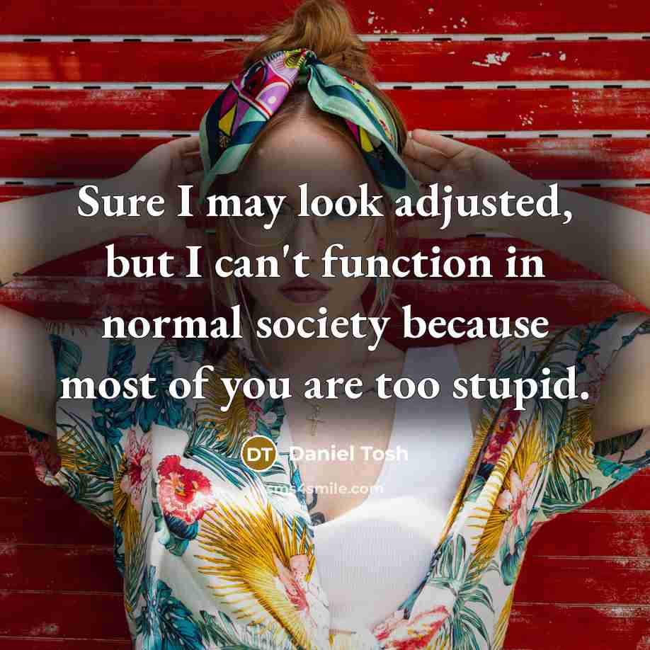 “Sure I may look adjusted, but I can't function in normal society because most of you are too stupid.” quote by Daniel Tosh