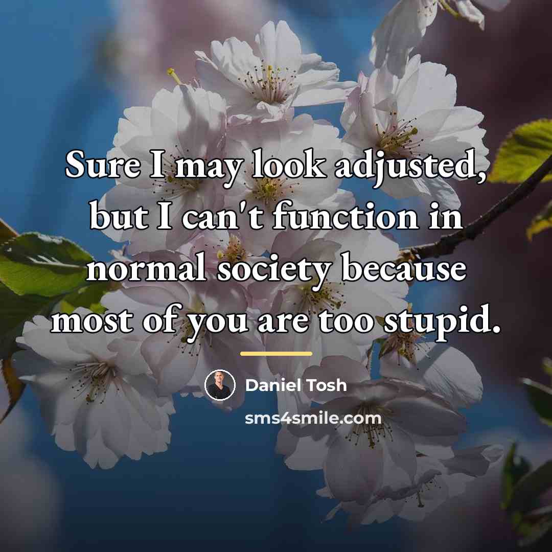 “Sure I may look adjusted, but I can't function in…” quote by Daniel Tosh