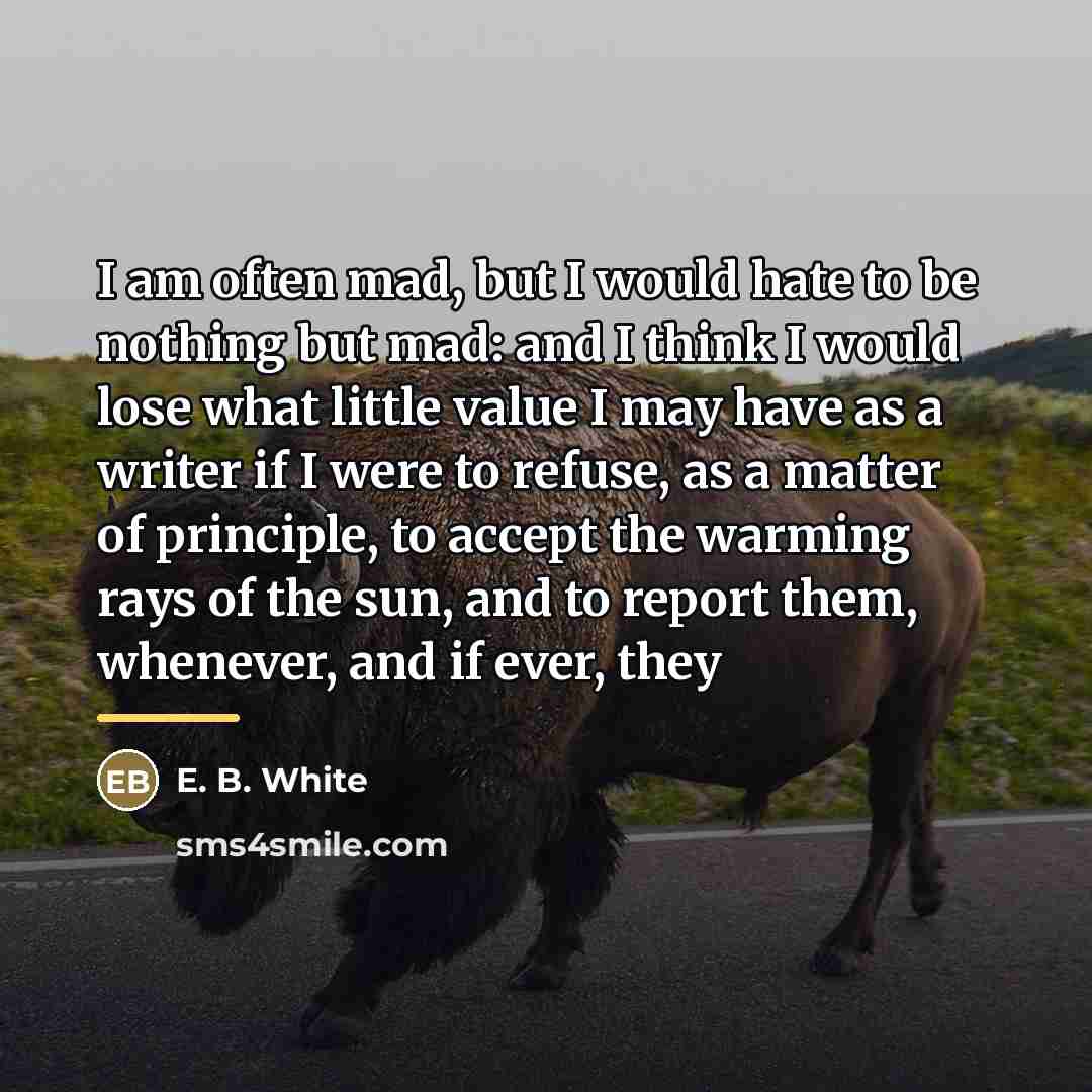 “I am often mad, but I would hate to be…” quote by E. B. White