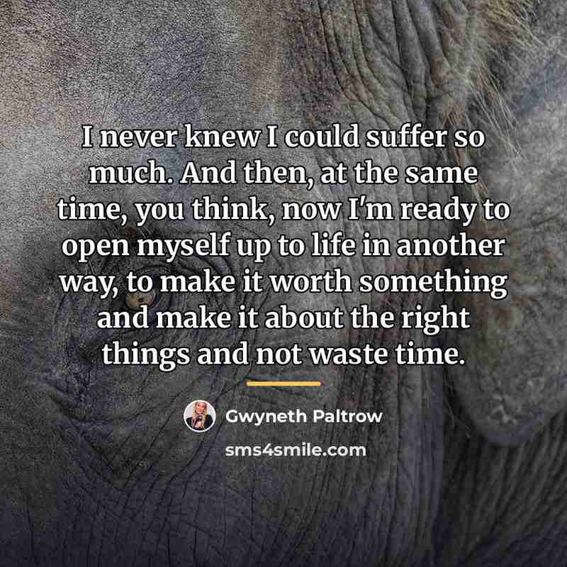 “I never knew I could suffer so much. And then,…” quote by Gwyneth Paltrow