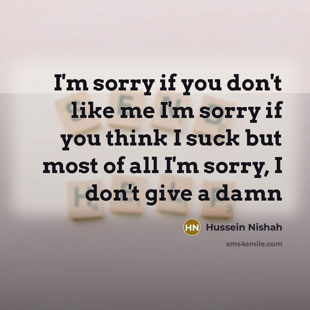 “I'm sorry if you don't like me I'm sorry if…” quote by Hussein Nishah