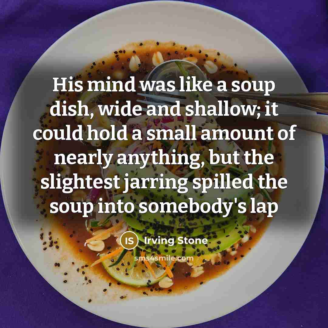 “His mind was like a soup dish, wide and shallow;…” quote by Irving Stone