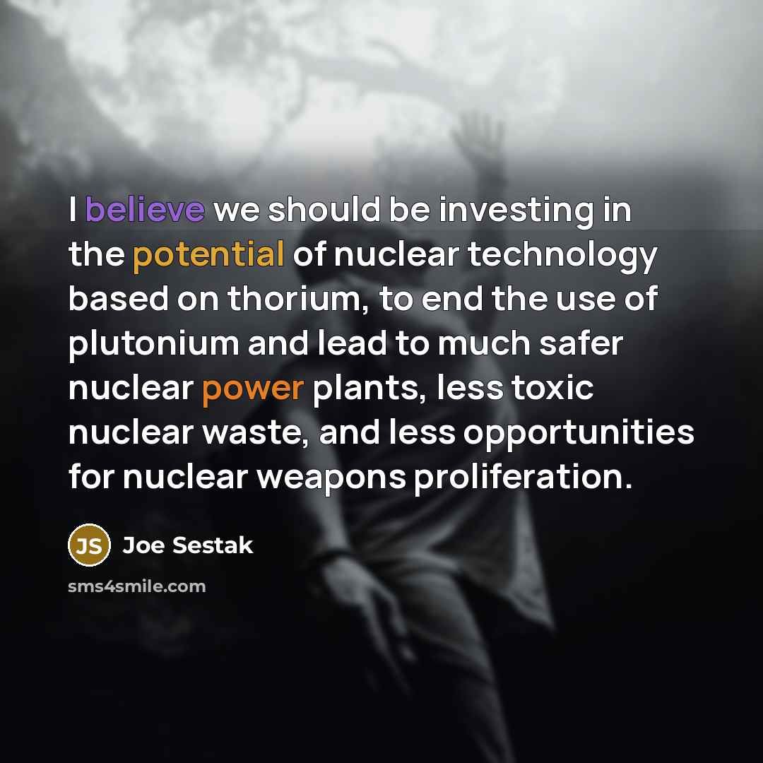 “I believe we should be investing in the potential of…” quote by Joe Sestak