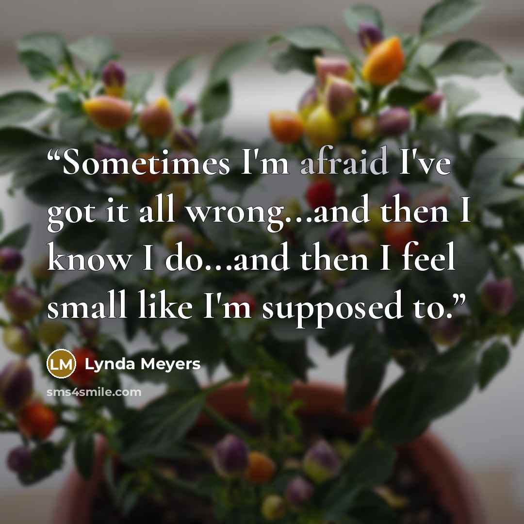 “Sometimes I'm afraid I've got it all wrong...and then I know I do...and then I feel small like I'm supposed to.” quote by Lynda Meyers