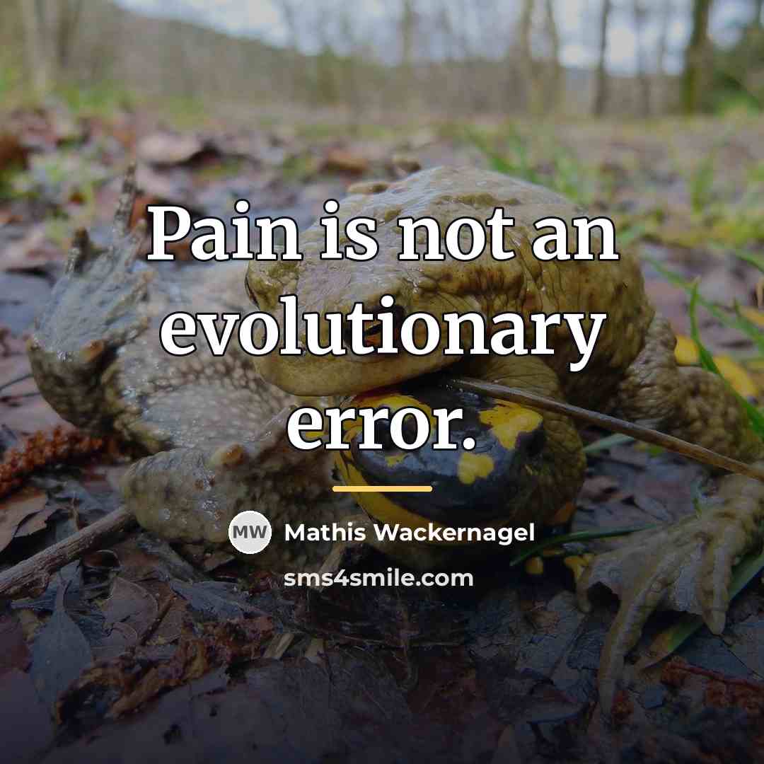 “Pain is not an evolutionary error.…” quote by Mathis Wackernagel