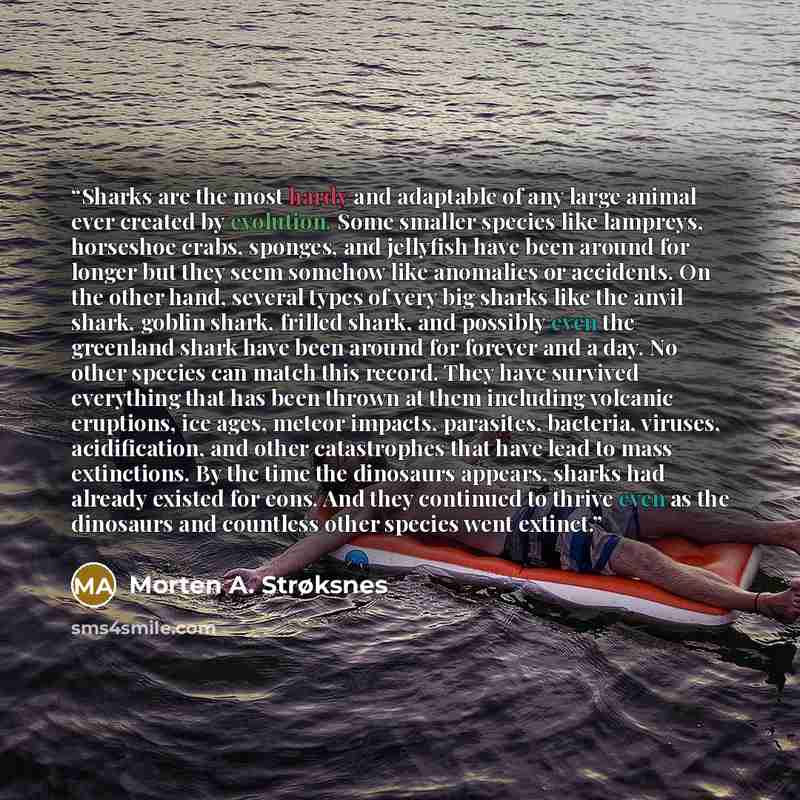 “Sharks are the most hardy and adaptable of any large animal ever created by evolution. Some smaller species like lampreys, horseshoe crabs, sponges, and jellyfish have been around for longer but they seem somehow like anomalies or accidents. On the other hand, several types of very big sharks like…” quote by Morten A. Strøksnes