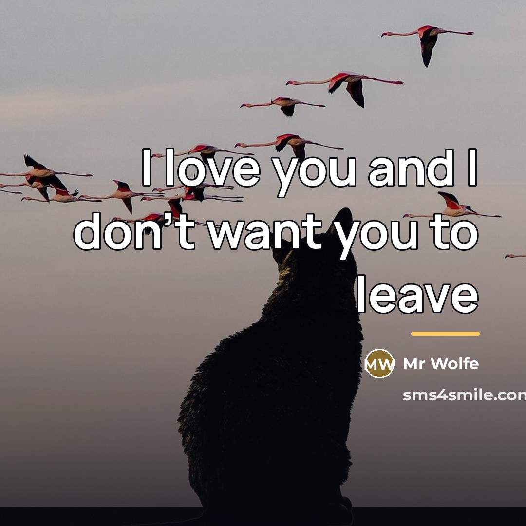“I love you and I don't want you to leave…” quote by Mr Wolfe