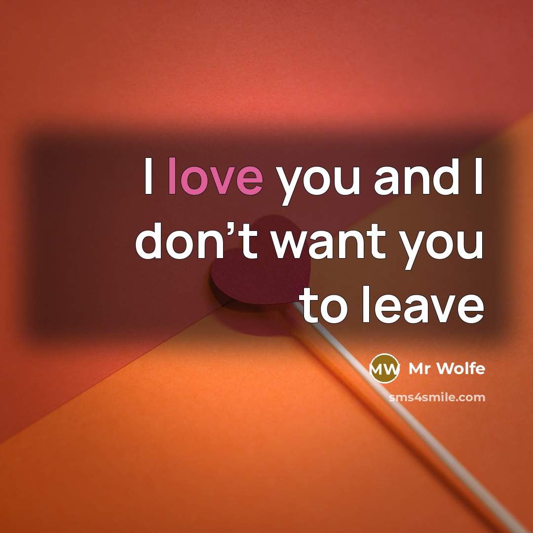 “I love you and I don't want you to leave” quote by Mr Wolfe