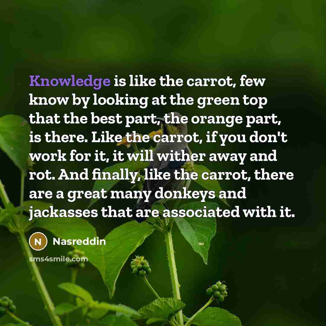 “Knowledge is like the carrot, few know by looking at…” quote by Nasreddin