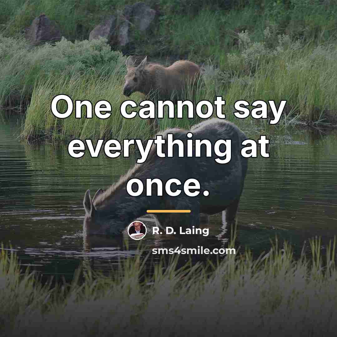 “One cannot say everything at once.…” quote by R. D. Laing