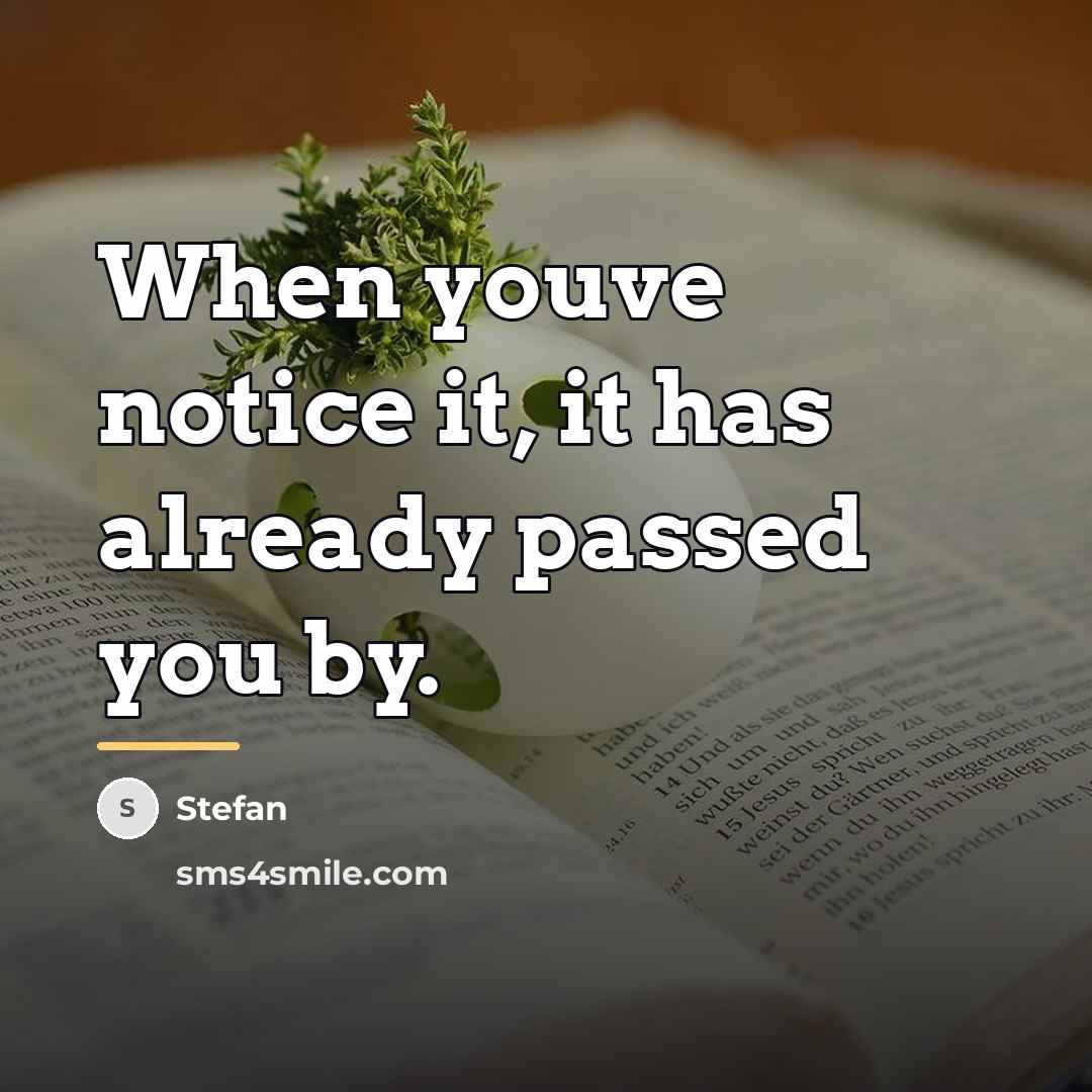 “When youve notice it, it has already passed you by.…” quote by Stefan