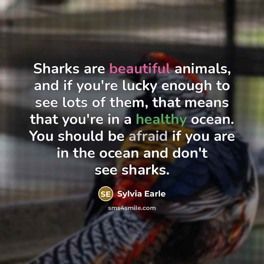 “Sharks are beautiful animals, and if you're lucky enough to…” quote by Sylvia Earle