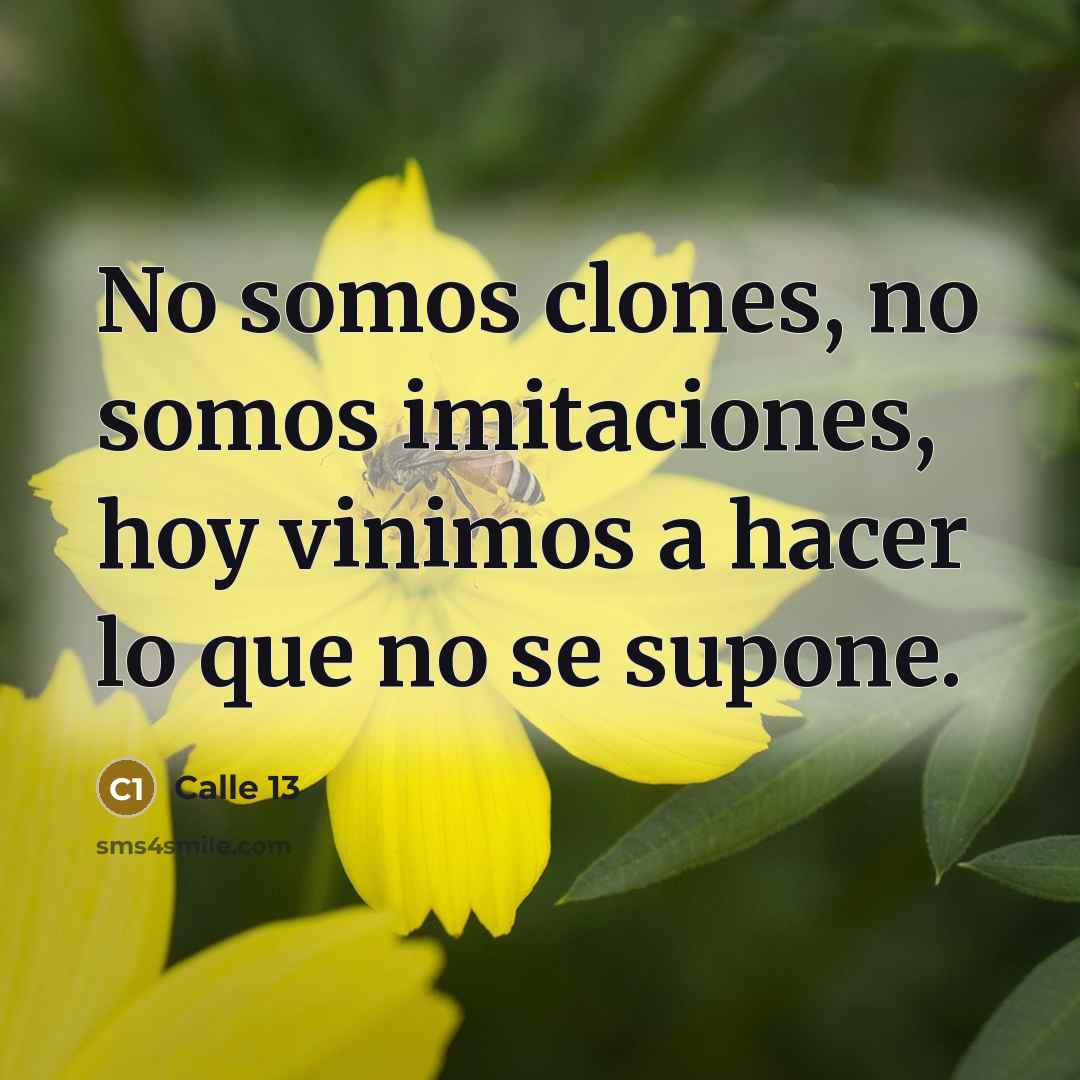 “No somos clones, no somos imitaciones, hoy vinimos a hacer lo que no se supone.” quote by Calle 13