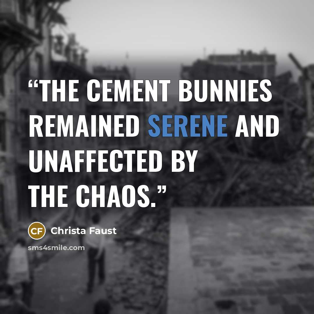 “The cement bunnies remained serene and unaffected by the chaos.” quote by Christa Faust