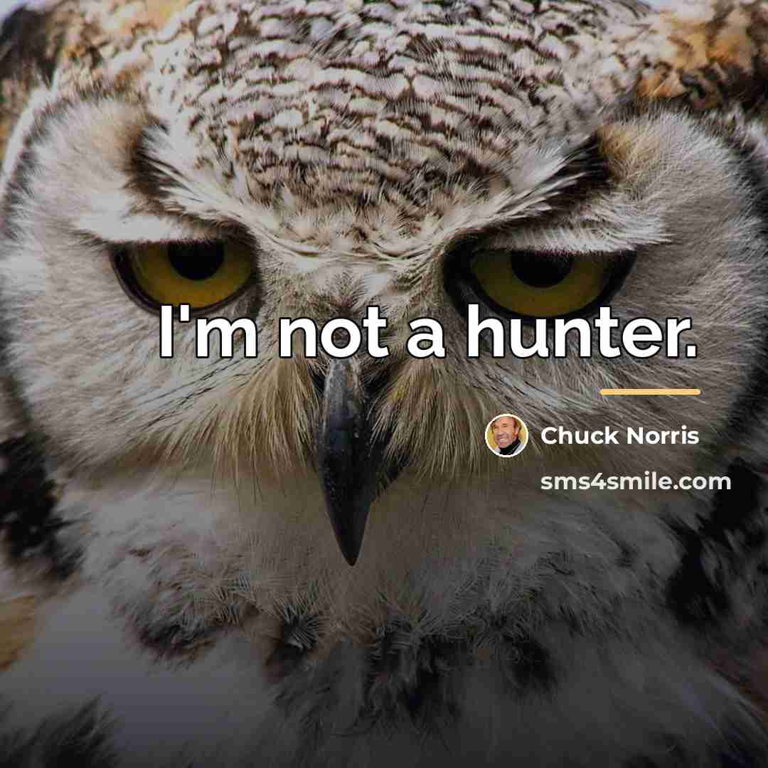 “I'm not a hunter.…” quote by Chuck Norris