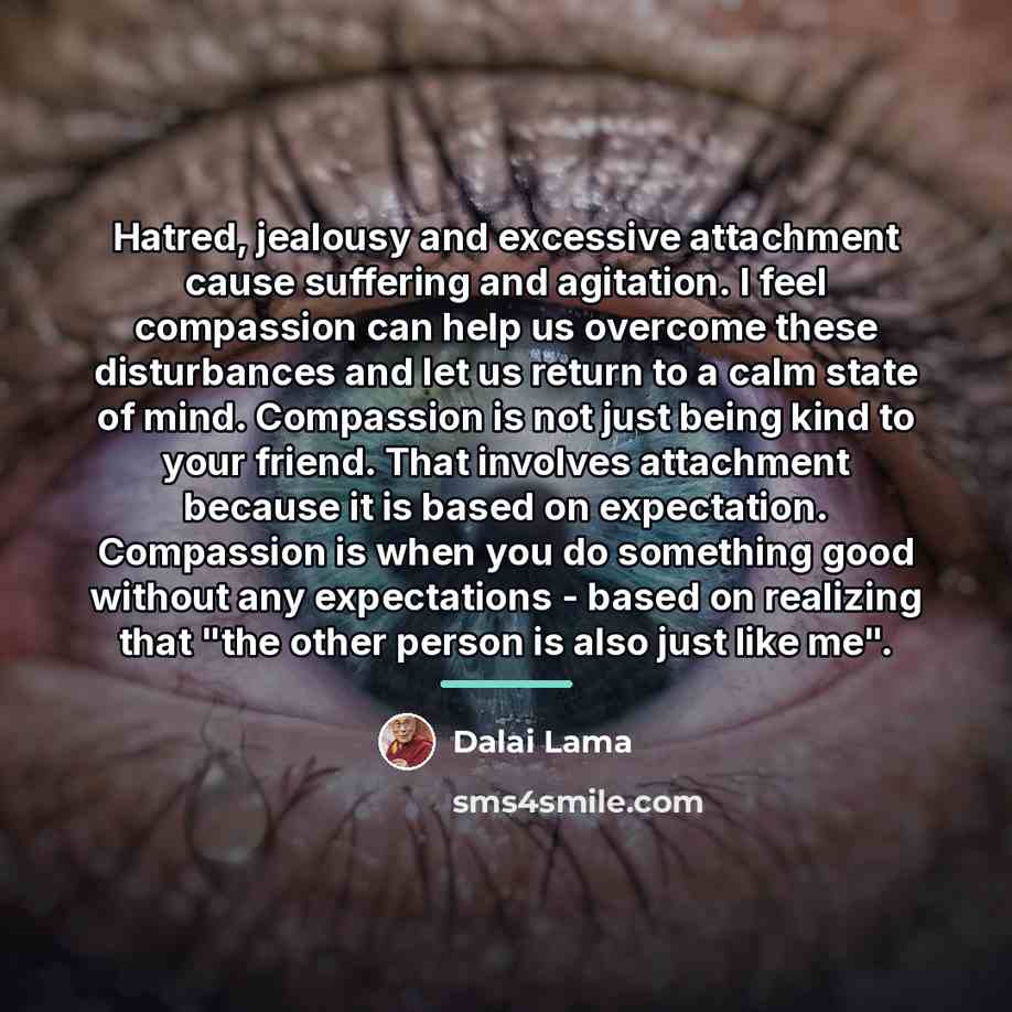 “Hatred, jealousy and excessive attachment cause suffering and agitation. I…” quote by Dalai Lama
