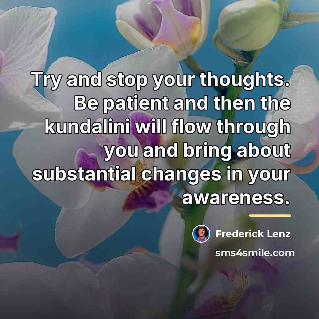“Try and stop your thoughts. Be patient and then the…” quote by Frederick Lenz